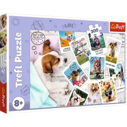 Puzzle - 