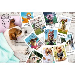 Puzzle - 