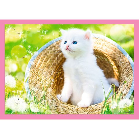 Puzzle - "4w1" - Zabawne kotki Trefl 34396 Puzzle - "4w1" - Zabawne kotki Trefl 34396