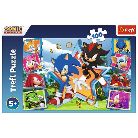 Puzzle - "100" - Poznaj Sonica Trefl 16465 Puzzle - "100" - Poznaj Sonica Trefl 16465