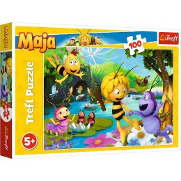 Puzzle - 