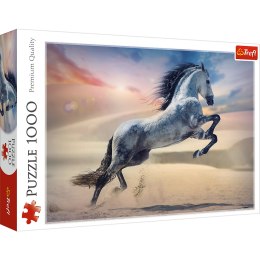 Puzzle - 