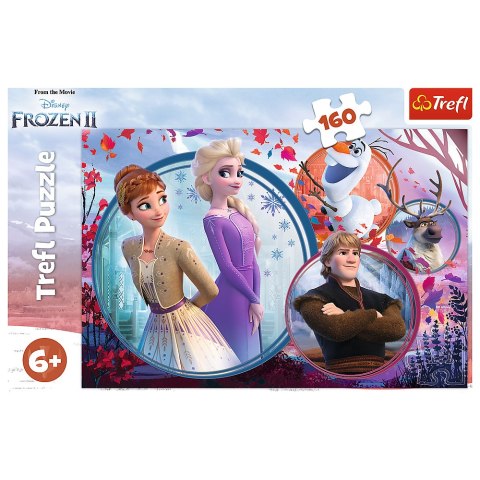 Puzzle - 160 - Siostrzana przygoda - Disney Frozen Trefl 15374 Puzzle - 160 - Siostrzana przygoda - Disney Frozen Trefl 15374