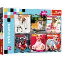 Puzzle - 200 - Wesołe psy - Trefl 13279 Puzzle - 200 - Wesołe psy - Trefl 13279