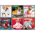 Puzzle - 200 - Wesołe psy - Trefl 13279 Puzzle - 200 - Wesołe psy - Trefl 13279