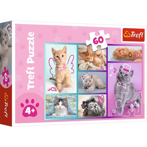 Puzzle - "60"- Słodkie kociaki / Trefl 17373 Puzzle - "60"- Słodkie kociaki / Trefl 17373