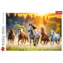 Puzzle - 1500 - Dzikie konie Trefl 26215 Puzzle - 1500 - Dzikie konie Trefl 26215
