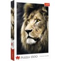 Puzzle - 1500 - Portret lwa / 500 px 26139 Puzzle - 1500 - Portret lwa / 500 px 26139