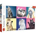 Puzzle 500 el. Kociaki Trefl 37377