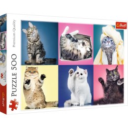 Puzzle 500 el. Kociaki Trefl 37377