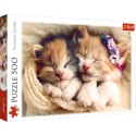 Puzzle 500 el. Śpiące kotki Trefl 37271 Puzzle 500 el. Śpiące kotki Trefl 37271