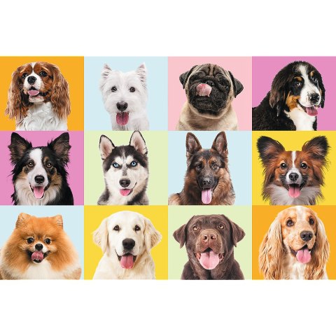 Puzzles - "60" - Słodkie psiaki / Trefl 17374 Puzzles - "60" - Słodkie psiaki / Trefl 17374