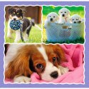 Puzzle - 3w1 - Urocze pieski - Trefl 34854