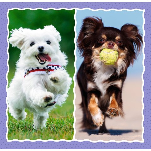 Puzzle - 3w1 - Urocze pieski - Trefl 34854 Puzzle - 3w1 - Urocze pieski - Trefl 34854