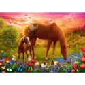 Puzzle - 500 - Konie na łące Trefl 37451 Puzzle - 500 - Konie na łące Trefl 37451