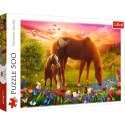 Puzzle - 500 - Konie na łące Trefl 37451 Puzzle - 500 - Konie na łące Trefl 37451