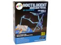 Zestaw Archeologiczny Wykopaliska Dinozaur Szkielet Pteranodon LEAN Toys Zestaw Archeologiczny Wykopaliska Dinozaur Szkielet Pteranodon LEAN Toys