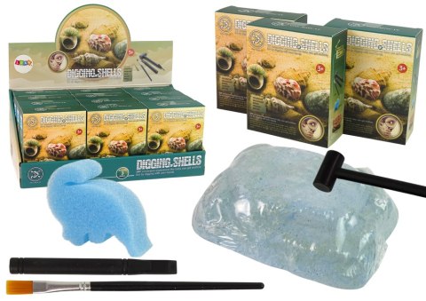 Zestaw Wykopaliska Skorupy Muszle Trzy Modele Niespodzianka LEAN TOYS Zestaw Wykopaliska Skorupy Muszle Trzy Modele Niespodzianka LEAN TOYS