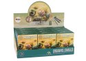 Zestaw Wykopaliska Skorupy Muszle Trzy Modele Niespodzianka LEAN TOYS Zestaw Wykopaliska Skorupy Muszle Trzy Modele Niespodzianka LEAN TOYS