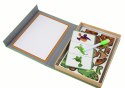 Edukacyjny Zestaw Puzzli Magnetycznych Z Motywem Dinozaurów Edukacyjny Zestaw Puzzli Magnetycznych Z Motywem Dinozaurów