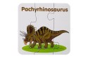 Puzzle Edukacyjne Dinozaury Angielski 10 Połączeń Puzzle Edukacyjne Dinozaury Angielski 10 Połączeń