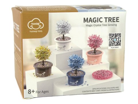 Magiczne Drzewko Hodowla Kryształów Doświadczenia Złote Magiczne Drzewko Hodowla Kryształów Doświadczenia Złote