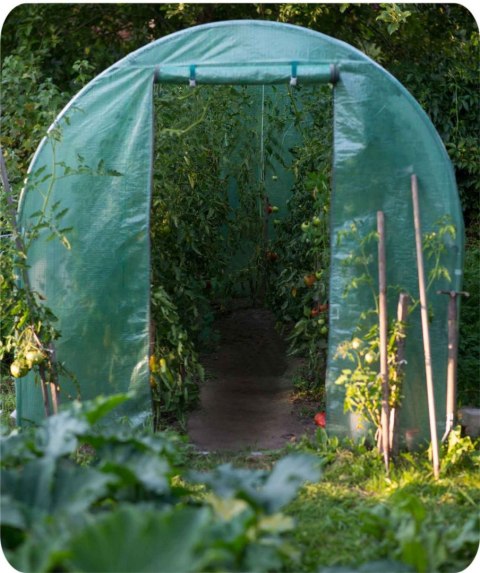 Tunel ogrodowy 2x3,5x (7m2) Plonos Tunel ogrodowy 2x3,5x (7m2) Plonos