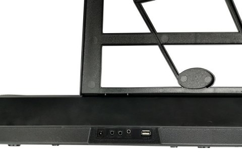 Keyboard Organy 328-06 Mikrofon Zasilacz Czarny Keyboard Organy 328-06 Mikrofon Zasilacz Czarny