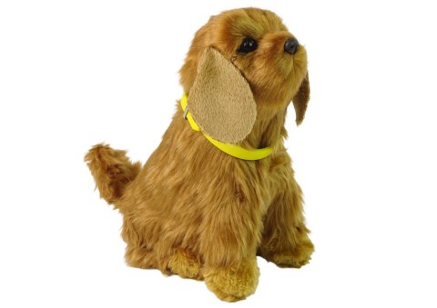 Interaktywny Pies Piesek Cocker Spaniel Pluszowy Szczeka Rusza Ogonem Interaktywny Pies Piesek Cocker Spaniel Pluszowy Szczeka Rusza Ogonem