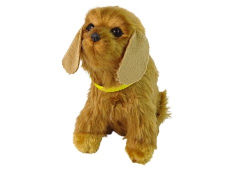 Interaktywny Pies Piesek Cocker Spaniel Pluszowy Szczeka Rusza Ogonem Interaktywny Pies Piesek Cocker Spaniel Pluszowy Szczeka Rusza Ogonem