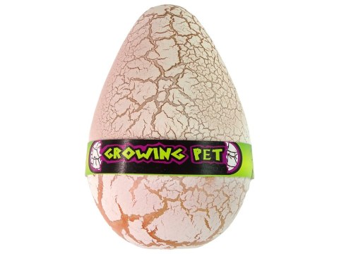 Rosnące Jajo Dinozaura 12 cm Rosnące Jajo Dinozaura 12 cm