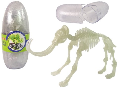 Świecący W Ciemności Szkielet 3D Dinozaury Mamut w Jajku Świecący W Ciemności Szkielet 3D Dinozaury Mamut w Jajku