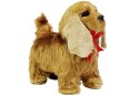 Interaktywny Pies Cocker Spaniel Porusza się, Szczeka Interaktywny Pies Cocker Spaniel Porusza się, Szczeka