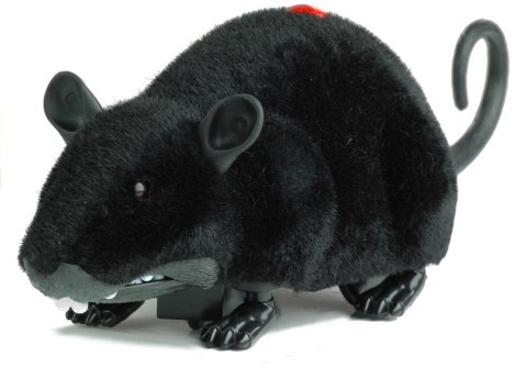 Mysz Zdalnie Sterowana Pilotem R/C Na Kółkach Duża Czarna Mysz Zdalnie Sterowana Pilotem R/C Na Kółkach Duża Czarna