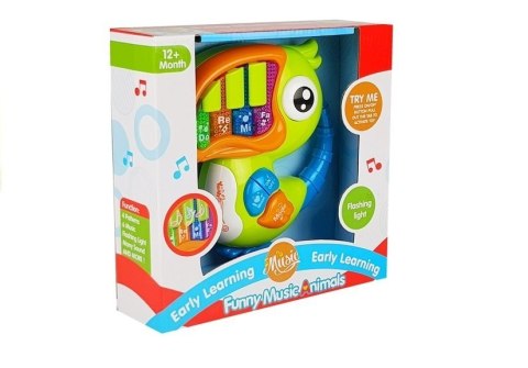 Pianinko Organki Do Re Mi Papuga Zielone Pianinko Organki Do Re Mi Papuga Zielone