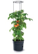 DONICZKA TOMATO GROWER - ANTRACYTOWY 28L DONICZKA TOMATO GROWER - ANTRACYTOWY 28L